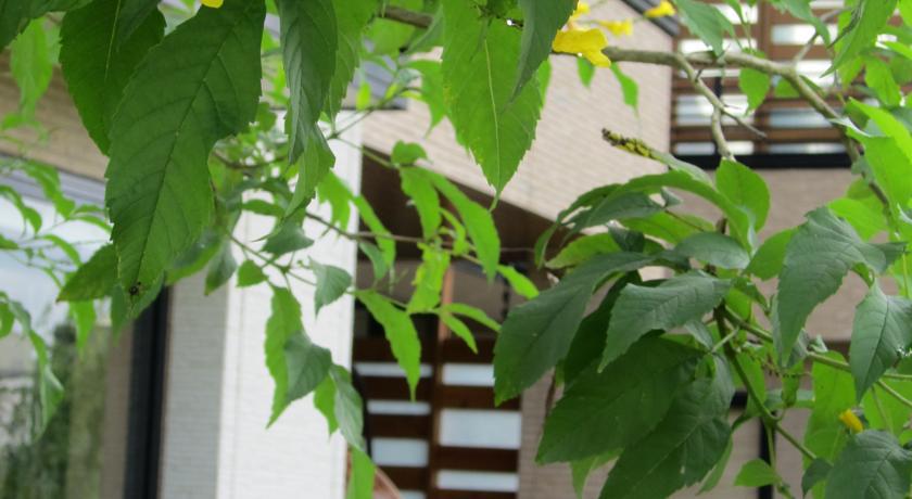 Green Willow House Fengshan  Εξωτερικό φωτογραφία